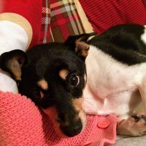 Meet your Posher, Ruth